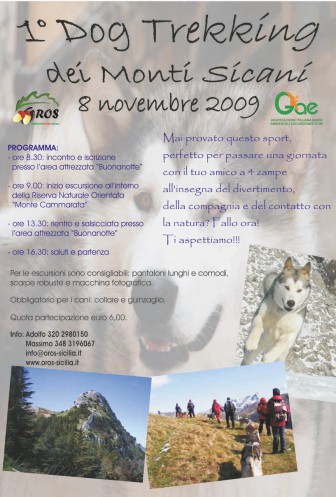1dogtrekking