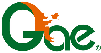 Logo-GAE-mission